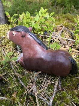 Liggande brun nordsvensk knubbis