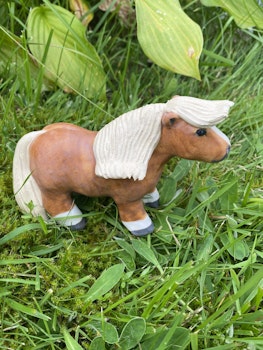 Galopperande fux knubbis shettis