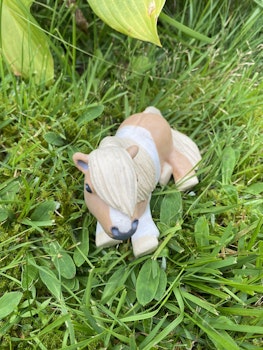 Liggandes skäck knubbis shettis