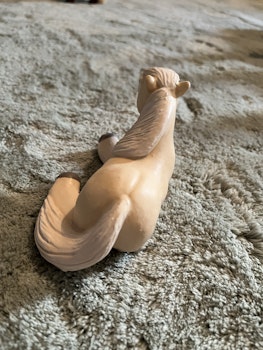 Isabellfärgad knubbis shettis
