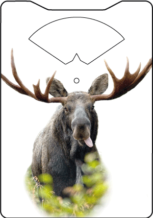 P-skiva Älg