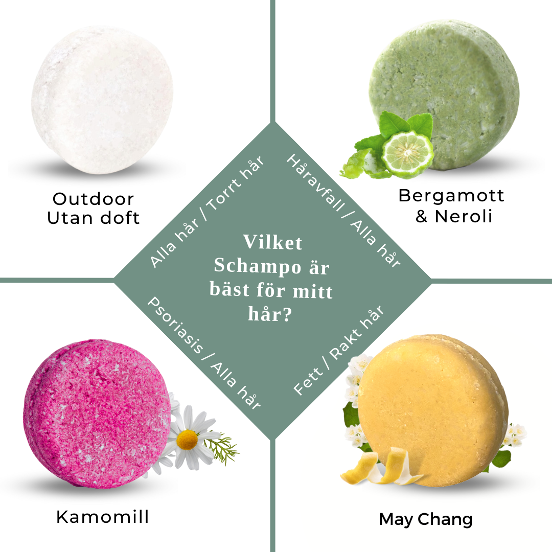 Schampokaka May Chang, Everyday Shampoo