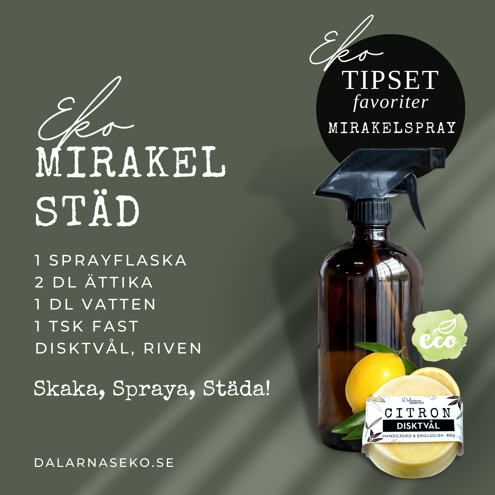 EKO Mirakel Spray - STÄDKIT