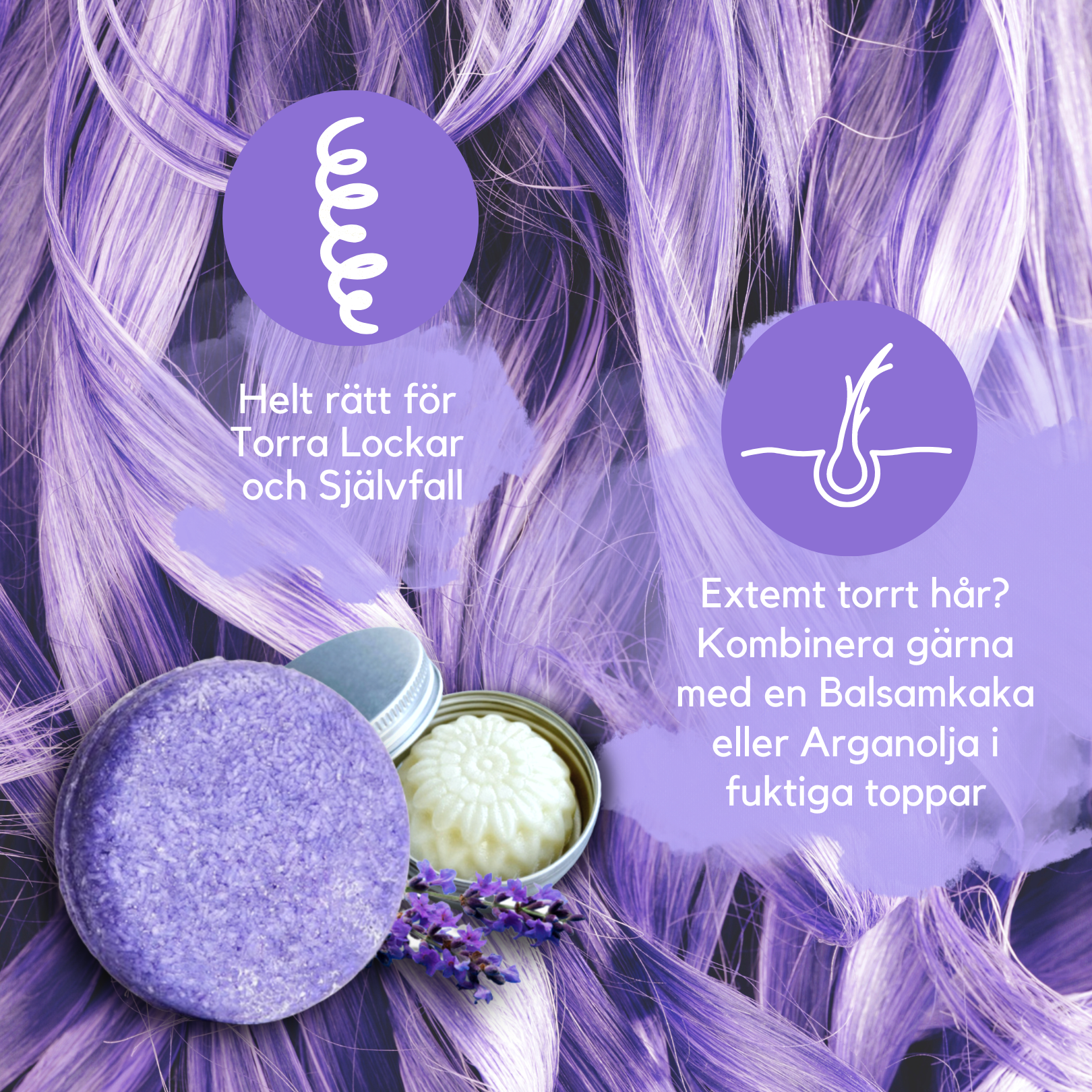 Schampokaka Lavendel, Radical Moisture Shampoo