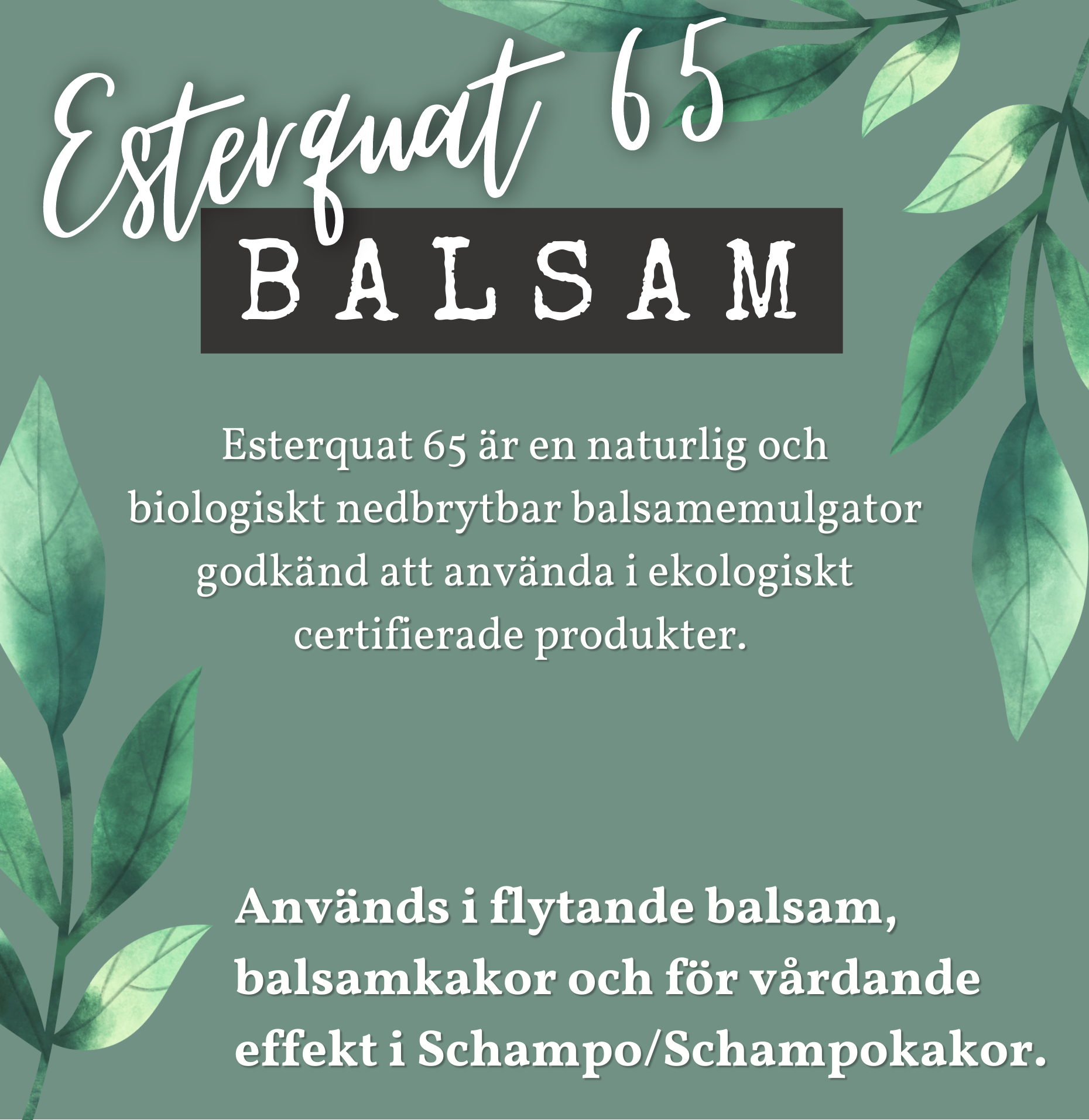 Esterquat 65, BALSAMEMULGATOR