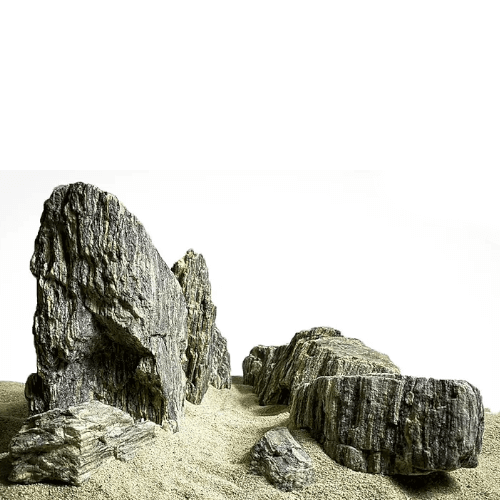 Sten kit - Grey fossil wood rock