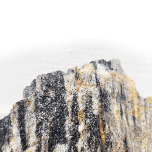 Sten kit - Grey fossil wood rock