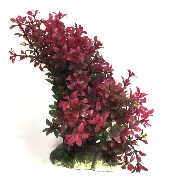 Plastväxt Rotala 11-17 cm