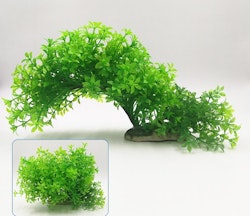 Plastväxt Bacopa 12-21 cm