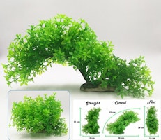 Plastväxt Bacopa 12-21 cm