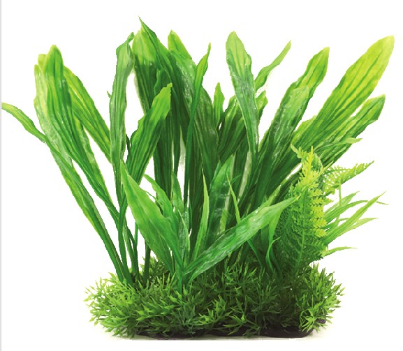 Plastväxt Echinodorus green 21 cm