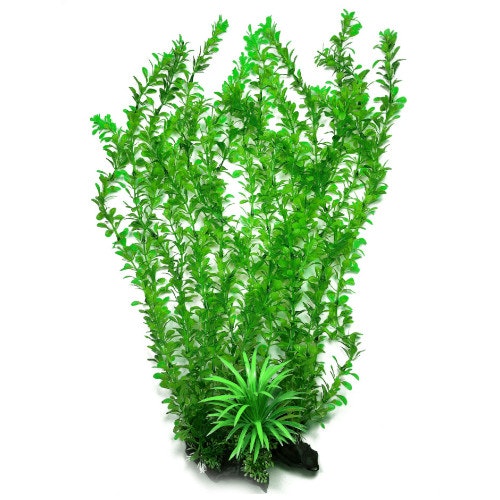 Plastväxt Rotala green 55 cm