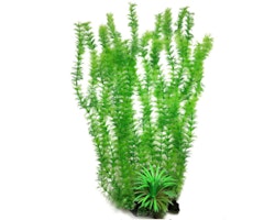 Plastväxt Cabomba green 55 cm