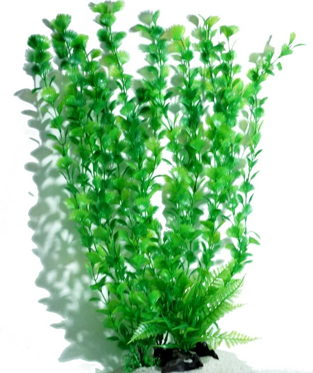 Plastväxt Spikewort 55 cm