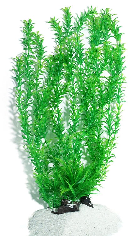 Plastväxt Rotala 55 cm