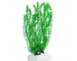 Plastväxt Rotala 55 cm