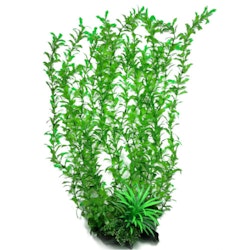 Plastväxt Shinnersia 58 cm