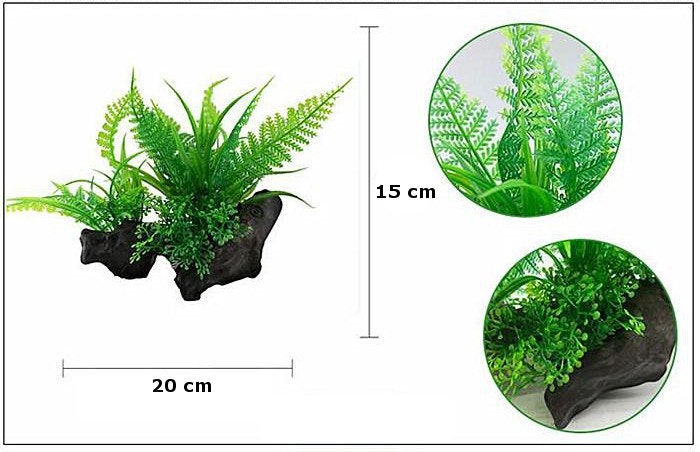 Plastväxt på rot Fern 15 cm