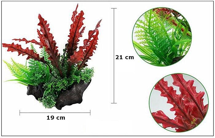 Plastväxt på rot Cryptocoryne red 21 cm