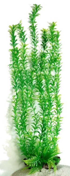 Plastväxt Rotala 60 cm