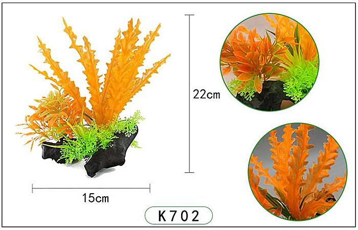 Plastväxt på rot Cryptocoryne orange 21 cm