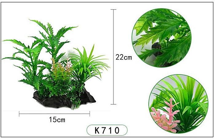 Plastväxt Pinnatifida 20 cm