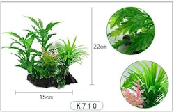 Plastväxt Pinnatifida 20 cm