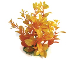Plastväxt Bacopa orange 13 cm