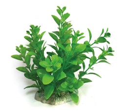 Plastväxt Bacopa grön 13 cm