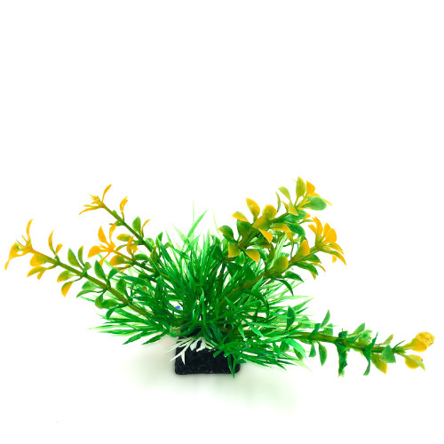 Plastväxt Bacopa grön/ gula detaljer 9 cm