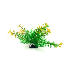 Plastväxt Bacopa grön/ gula detaljer 9 cm