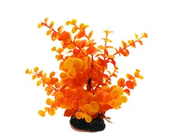 Plastväxt Limnobium orange 19 cm
