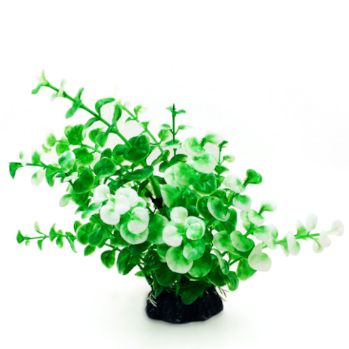 Plastväxt Limnobium grön / vita detaljer 19 cm