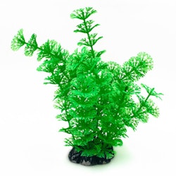 Plastväxt Cabomba grön 19 cm