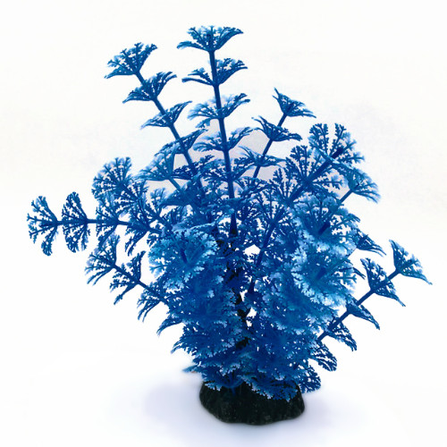 Plastväxt Cabomba blå vita detaljer 19 cm