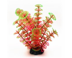 Plastväxt Cabomba rosa med grön topp 19 cm