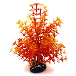 Plastväxt Hottonia orange 19 cm