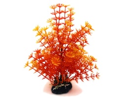 Plastväxt Hottonia orange 19 cm