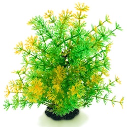 Plastväxt Hottonia grön med gul topp 19 cm