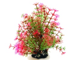 Plastväxt Hottonia rosa / gröna detaljer 19 cm