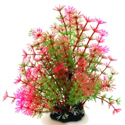 Plastväxt Hottonia rosa / gröna detaljer 19 cm