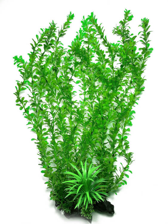 Plastväxt Rotala bonsai grön 40 cm