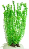 Plastväxt Rotala bonsai grön 40 cm