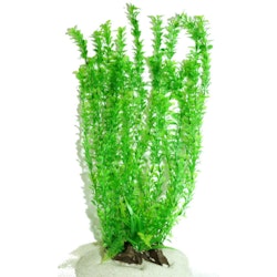 Plastväxt Rotala bonsai grön 40 cm