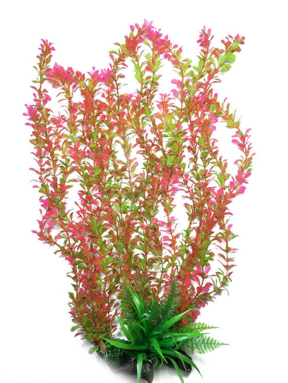 Plastväxt Rotala bonsai grön / rosa 40 cm