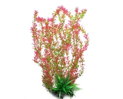 Plastväxt Rotala bonsai grön / rosa 40 cm