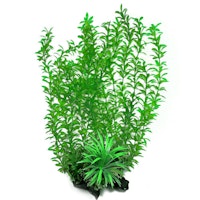 Plastväxt Rotala 40 cm