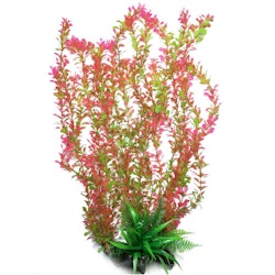Plastväxt Rotala bonsai grön / röd 55 cm