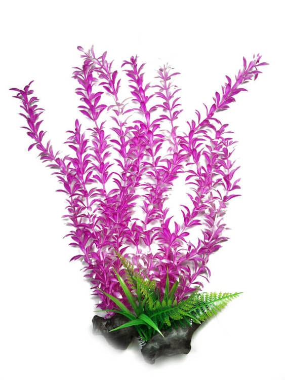 Plastväxt Rotala mörk pink med vita detaljer 55 cm