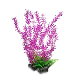 Plastväxt Rotala mörk pink med vita detaljer 55 cm